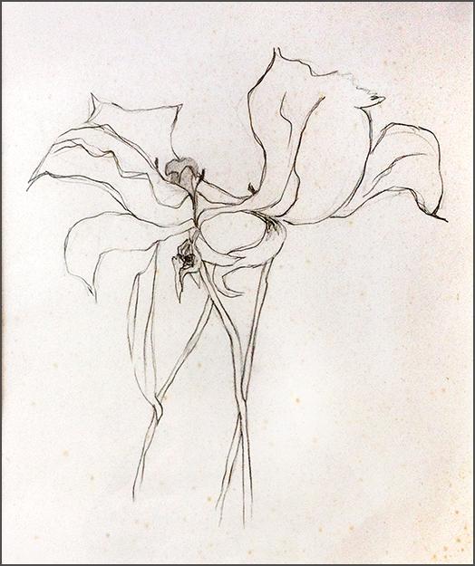 blomst10