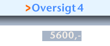 >Oversigt4